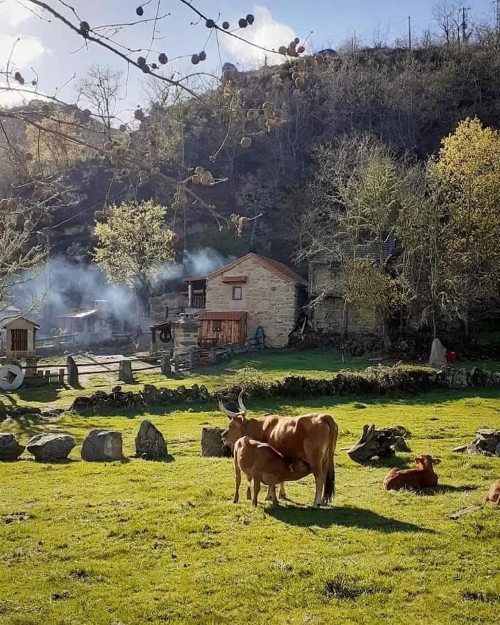 Aldeia De Pontes - คาสโตร ลาโบเรโร ภายนอก รูปภาพ